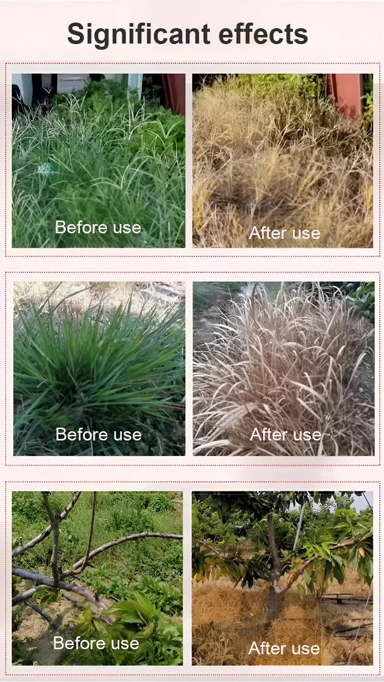 High Concentration Glufosinate Herbicide (Buy 1 Get 1 Free) all type grass