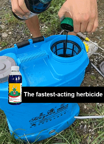 High Concentration Glufosinate Herbicide (Buy 1 Get 1 Free) all type grass